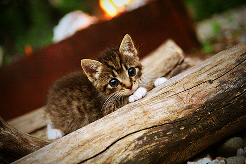 九游娱乐官网-当红黑条纹遇见加勒比海风,维尼修斯在错位时空中的攻防统治